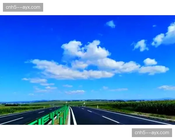 体育赛事管理重心向用户侧偏移 互动反馈直接驱动流程优化